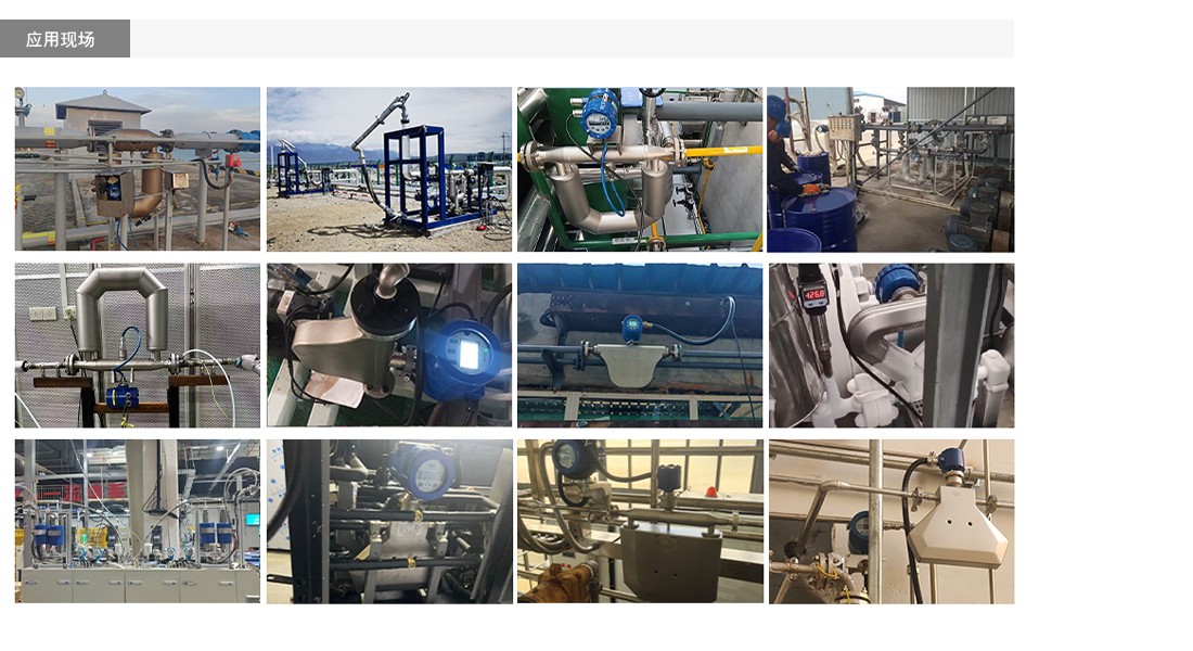 科里奥利质量流量计应用现场.jpg